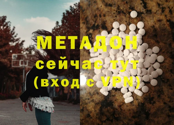прущие грибы Магадан