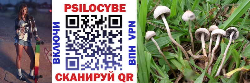 Галлюциногенные грибы Cubensis  Семикаракорск 