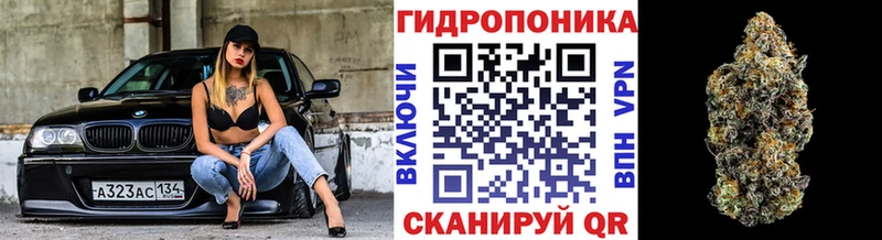 Марихуана VHQ  купить закладку  Семикаракорск 